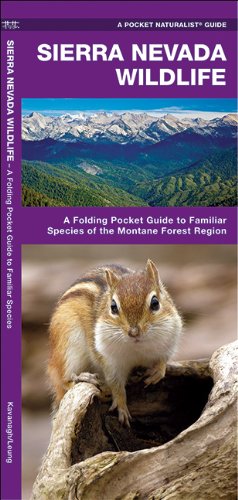 Sierra Nevada Wildlife: A Folding Pocket Guide to Familiar Species of the Montane Forest Region