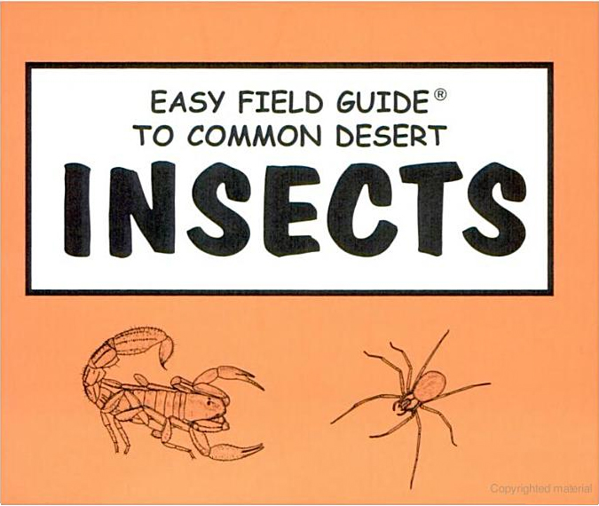 Easy Field Guide to Common Desert Insects