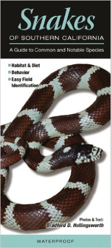 Snakes of Southern California: A Guide to Common & Notable Species 