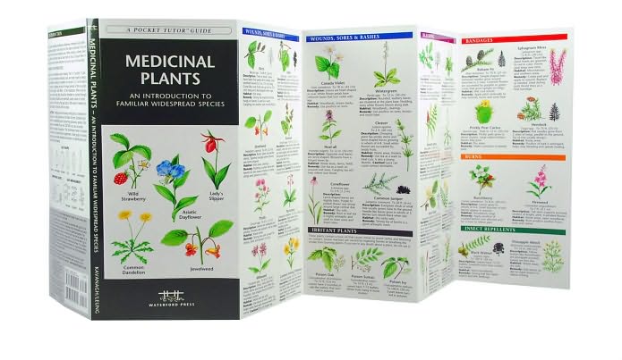 Pocket Naturalist Guide: Medicinal Plants