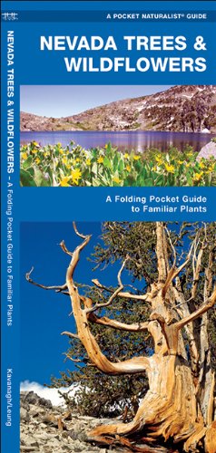 Pocket Naturalist Guide: Nevada Trees & Wildflowers