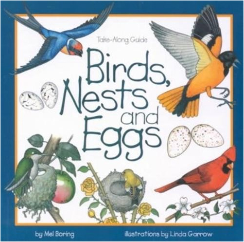 Birds, Nests, & Eggs