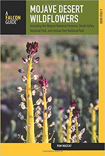Mojave Desert Wildflowers - A Field Guide