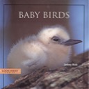 Look West: Baby Birds