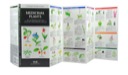 Pocket Naturalist Guide: Medicinal Plants